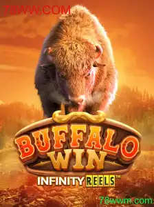Explorando BuffaloWin: Um Guia Completo